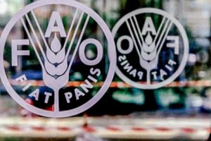 FAO Gelar Pameran Virtual, FAO Kisahkan Nasib Petani di Tengah Pandemi