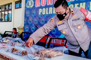 Polisi Gagalkan Perdagangan Tulang Harimau Sumatera dan Sisik Trenggiling di Aceh