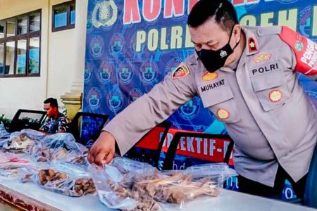 Polisi Gagalkan Perdagangan Tulang Harimau Sumatera dan Sisik Trenggiling di Aceh