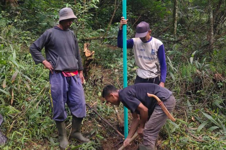Luncurkan Program Adopsi Pohon, Tugu Insurance Dukung Keuangan Berkelanjutan