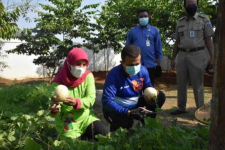 Alih Fungsi Lahan Hijau di Pondok Kelapa tuai Protes Warga