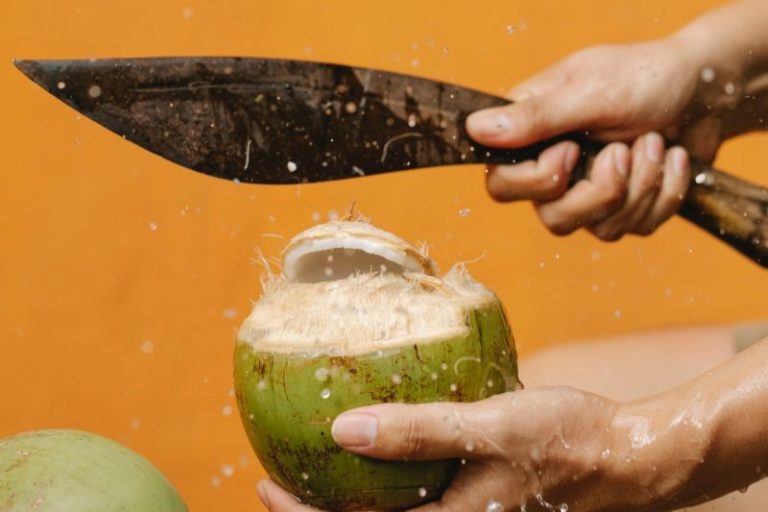 Jaga Imun Agar Terhindar Penyakit Termasuk Omicron, Minum Air Kelapa Salah Satunya