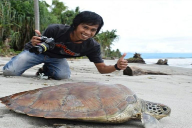 Terdampar di Tambak, Seekor Penyu Berhasil Diselamatkan Setelah Tiga Jam Evakuasi