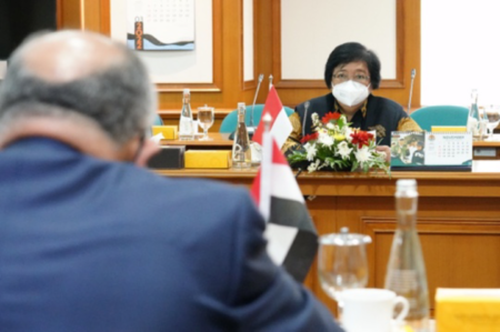 Indonesia-Mesir Sepakat Kerja Sama Perlindungan Lingkungan dan Pembangunan Berkelanjutan