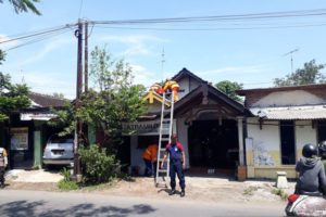 Sarang Tawon Ndas di Dermo Dievakuasi Damkar Kediri Setelah Sengat Pemilik Rumah
