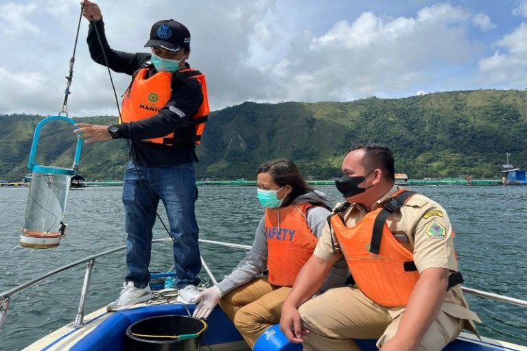 Jaga Ekosistem Danau Toba, Regal Springs Tabur 100 Ribu Benih Ikan Tilapia