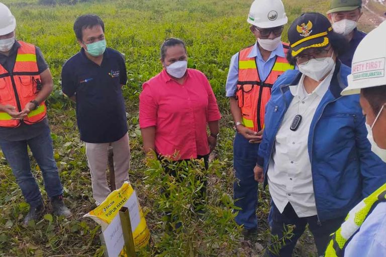 Gandeng PKT, Kementerian LHK Pulihkan Lahan Bekas Tambang di Kalimantan