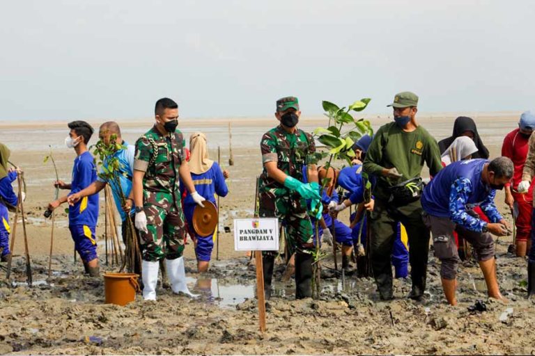 Kunjungi Arosbaya, Pangdam V/Brawijaya Pimpin Penanaman 30 Ribu Bibit Mangrove