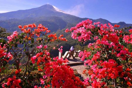 DPR Usulkan Revisi UU Pariwisata Agar Sesuai Potensi Daerah