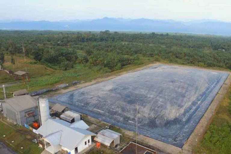 Melalui EFK, Elnusa Catatkan Kinerja HSSE Zero Accident dalam Kerja Pagar Merbau dan Kwala Sawit