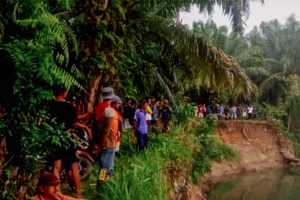 Warga Terancam 15 Buaya, BKSDA Pasang Kamera Perangkap di Sungai Selagan