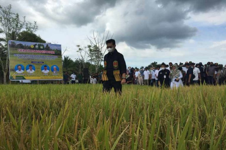 Kementan Minta Petani Organik Lakukan Sertifikasi untuk Tingkatkan Nilai Tambah