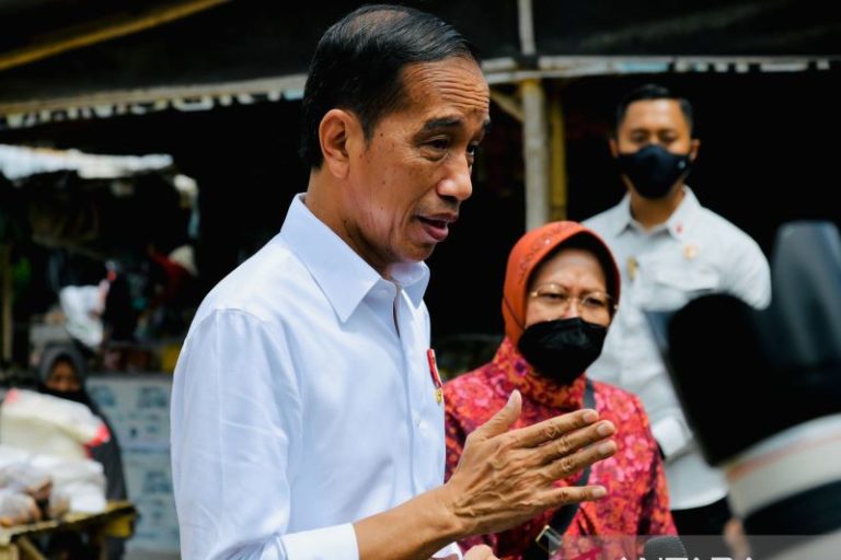 Presiden Jokowi Minta Pemudik di Jalur Darat Berangkat Lebih Awal agar Tak Macet