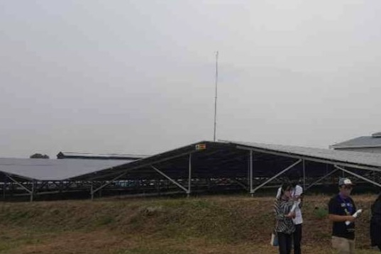 Pusat Distribusi Obat di Cikarang Gunakan Panel Surya untuk Sumber Energi Penyimpanan Vaksin
