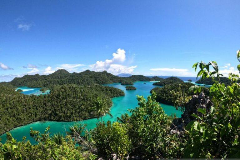 Kembangkan Potensi Daerah, Harapan Kepala Daerah Atas Otonomi Daerah di Papua Barat
