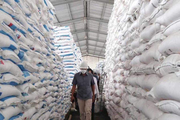 Bangun Pusri IIIB, Pupuk Indonesia Tingkatkan Efisiensi dan Hilirisasi Produk