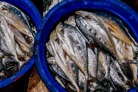 Ngabuburit Sambil Berburu Seafood di Pasar Ikan Modern Muara Baru
