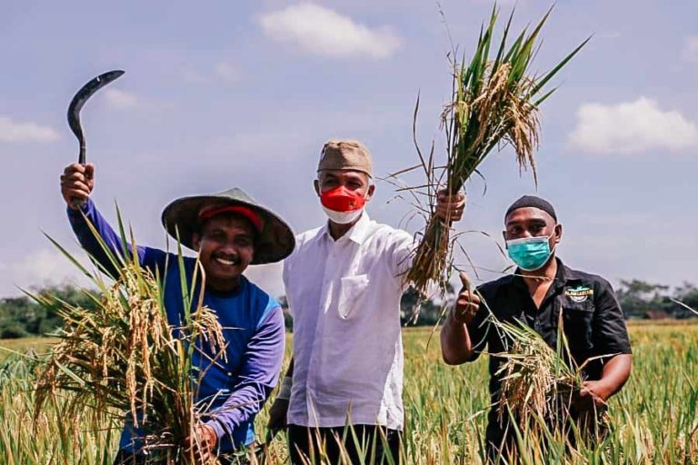 Panen Raya Padi Organik, Petani Blitar dapat Tamu Istimewa