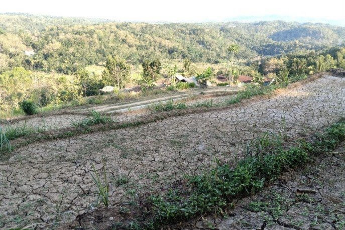 Masuk Musim Kemarau, 16 Desa di Bantul Kekurangan Air Bersih