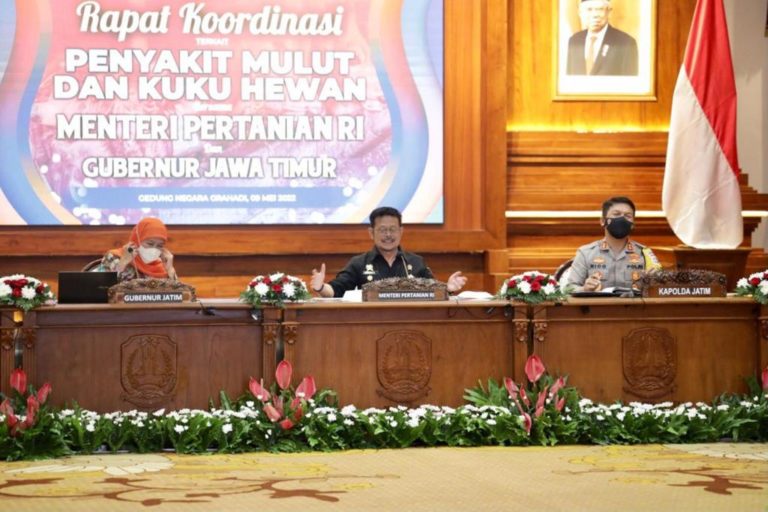 Mentan Pastikan PMK Tidak Menular ke Manusia, Khofifah: Masyarakat Jangan Khawatir