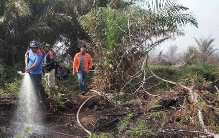 Dalam 4 hari, 20 Hektare Lahan di Nagan Raya alami Kebakaran