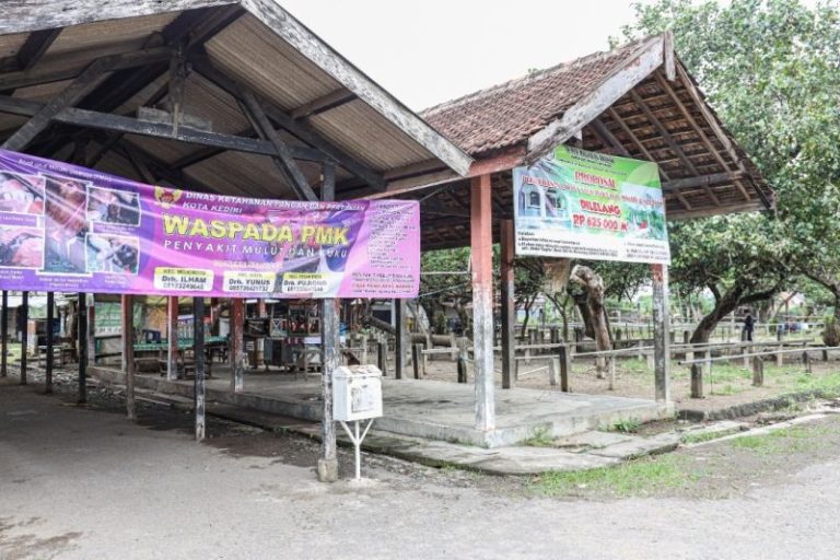 7 Ternak di Kota Kediri Suspek PMK