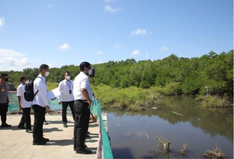 Pastikan Kesiapan KTT G20 2022, Luhut Tinjau Kawasan Mangrove Tahura dan Garuda Wisnu Kencana