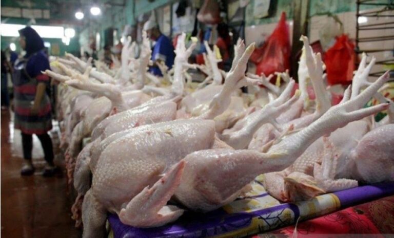 Usai Lebaran, Harga Daging Ayam di Medan Masih Tinggi