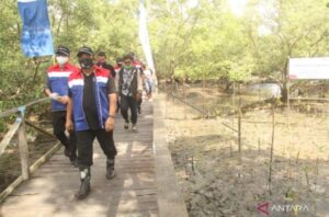 Tanam Mangrove di Balikpapan, Peserta Y20: Ternyata Nanamnya Harus Masuk Lumpur