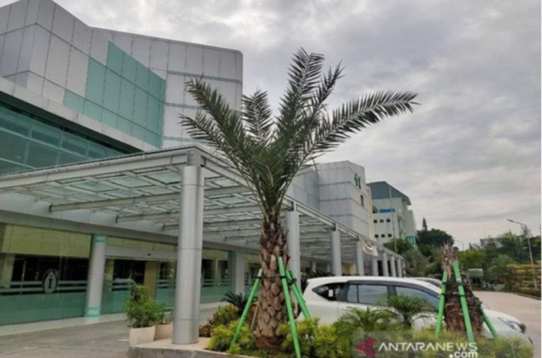 Waspada Gejala Awal Hepatitis Akut, Tak Hanya Menyerang Anak, Tapi Semua Usia
