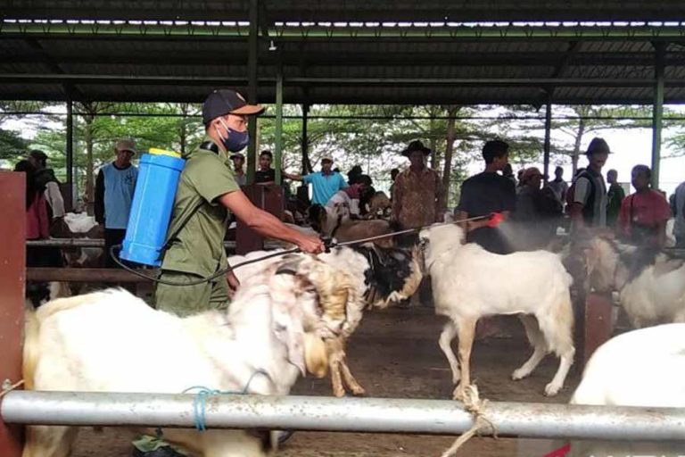 Cegah Sebaran Wabah PMK, Pasar Hewan di Kudus Disemprot Disinfektan