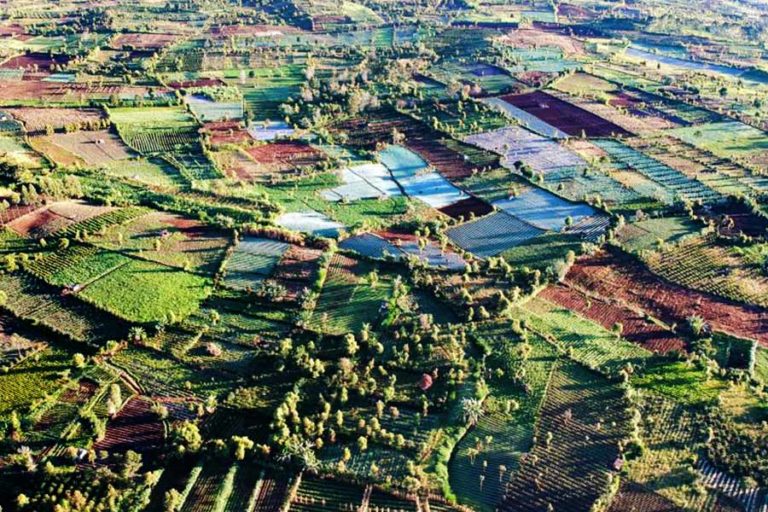 Kongres Kehutanan Sedunia, Dubes Indonesia Sampaikan FoLU Net Sink 2030 jadi Cara Tekan Deforestasi