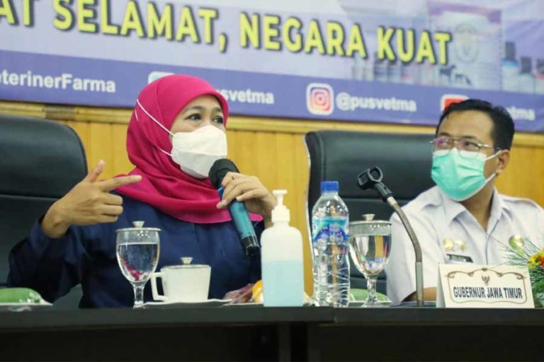 Tetap Suplai Kebutuhan Daging Sapi, 15 Kabupaten dan Kota di Jatim Zona Hijau PMK
