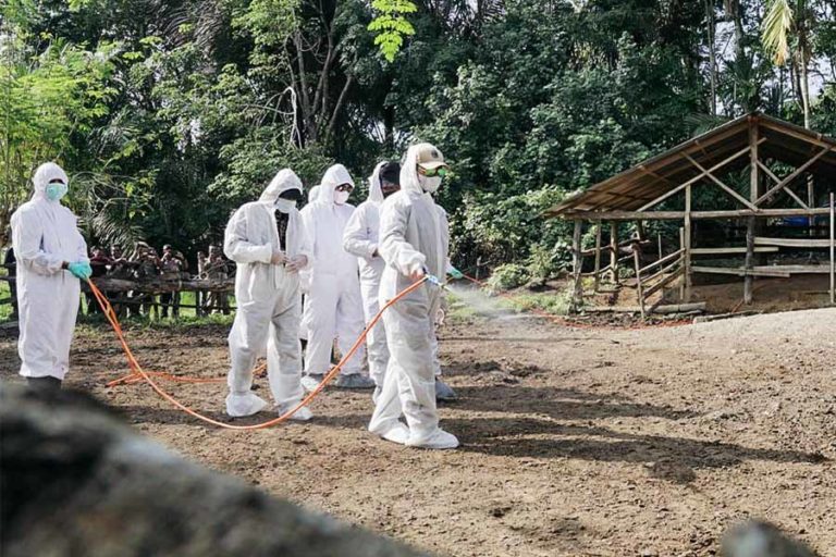 Ini Langkah Cepat Pemerintah Atasi Penyakit Mulut dan Kuku Secara Nasional