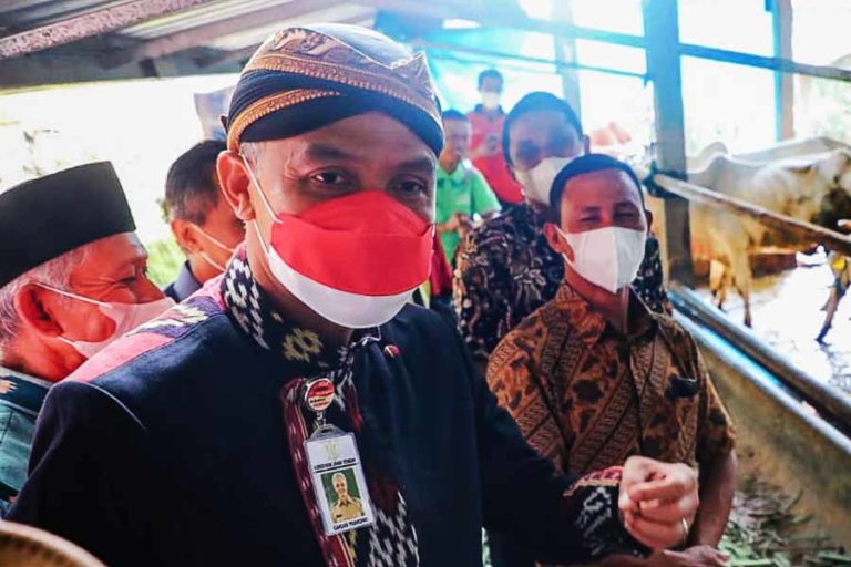 Empat Daerah di Jateng Terdeteksi PMK, Warga Diminta tidak Panik