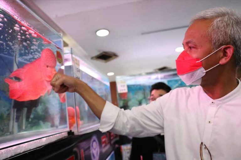 600 Peserta Ramaikan Kontes Louhan Gubernur Cup di Atrium Plaza Simpanglima