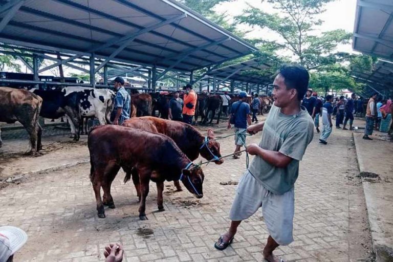 Antisipasi Wabah PMK, Pemkab Tulungagung Tutup Pasar Hewan