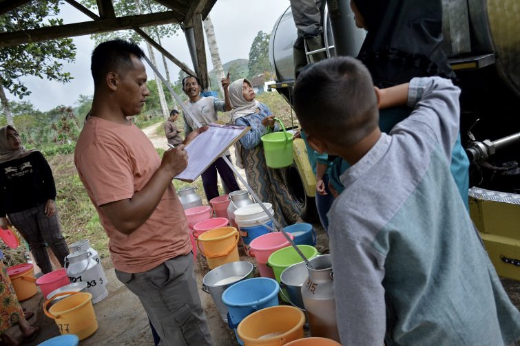 Kemenkop Pertemukan Peternak dengan Pelaku Industri Susu, Bantu Tangani PMK