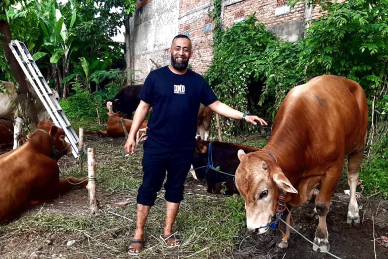 Tiga Hari Jualan Hewan Kurban di Tengah PMK, 40 Ekor Sapi Laku Terjual