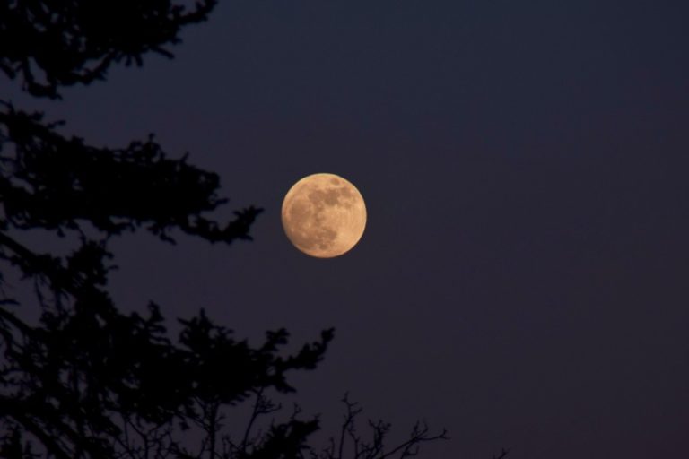 Supermoon Sebabkan Gelombang Tinggi, Nelayan Lombok Tengah Diminta Tak Melaut