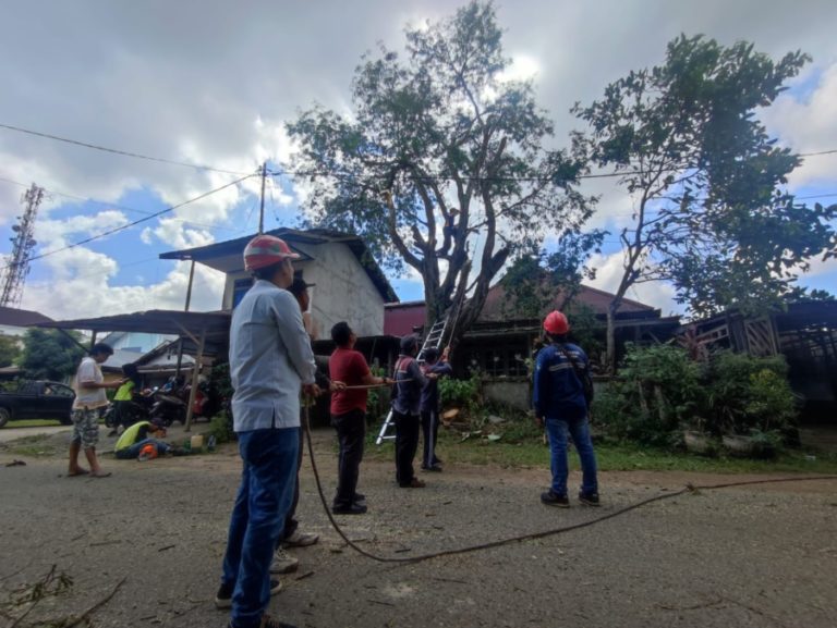 Rutin Lakukan Pemeliharaan Jaringan, PLN UP3 Ketapang Tekan Potensi Terjadinya Gangguan Listrik