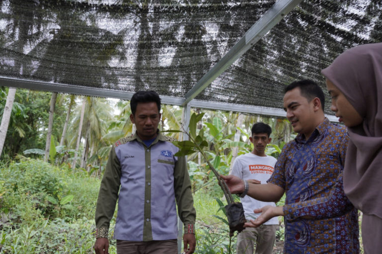 Tanam 10.000 Pohon Mangrove, PLN Cegah Bahaya Abrasi di Lokasi Eko Wisata Pantai Telok Berdiri