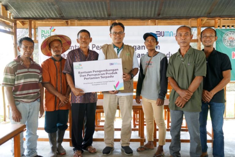 Melalui Electrifying Agriculture, PLN Bantu Komunitas Petani agar Panen Meningkat 100 Persen