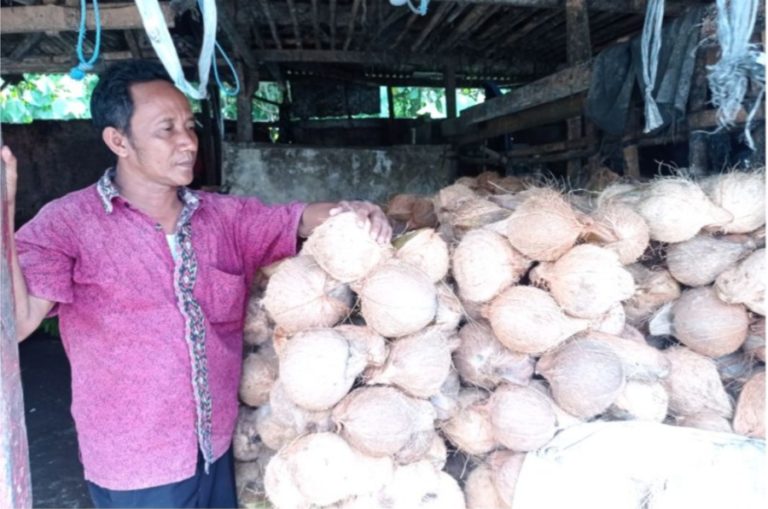 Hingga 4.000 Sehari, Pedagang Kelapa di Lebak Kewalahan Layani Permintaan Konsumen