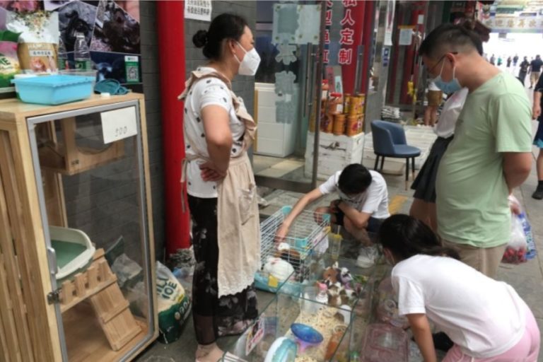 Tunjukkan Gejala Potensial, Dua Orang Diduga Alami Cacar Monyet Terjadi di Korea Selatan