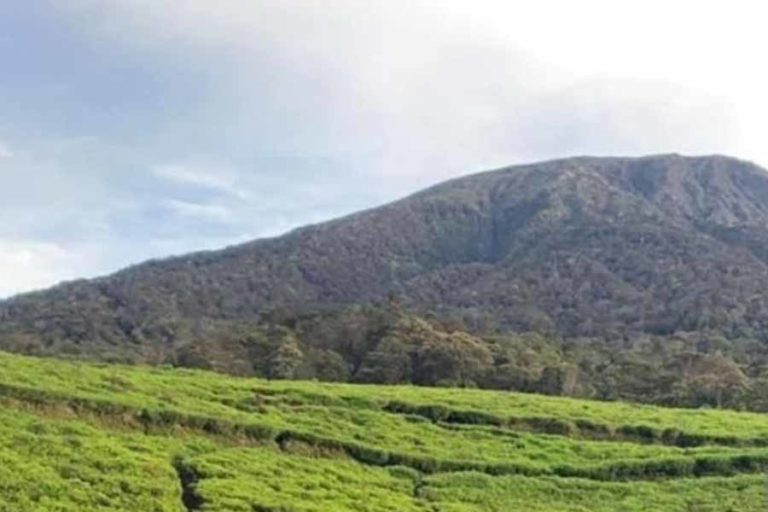 Gunung Api Dempo Letuskan Abu Vulkanik Selama hampir 4 Menit