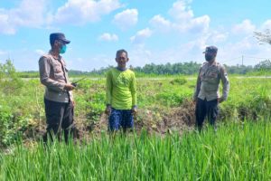 Cegah Korban Jiwa dari Jebakan Tikus, Polres Ngawi Sosialisasikan Penanggulangan Hama yang Aman