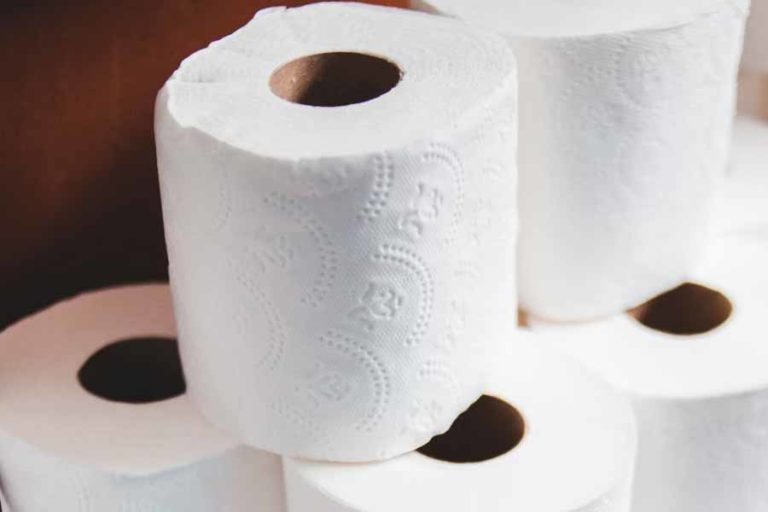 Hadapi Perubahan Iklim, Jangan Gunakan Tisu Toilet Lebih dari 30 Sentimeter