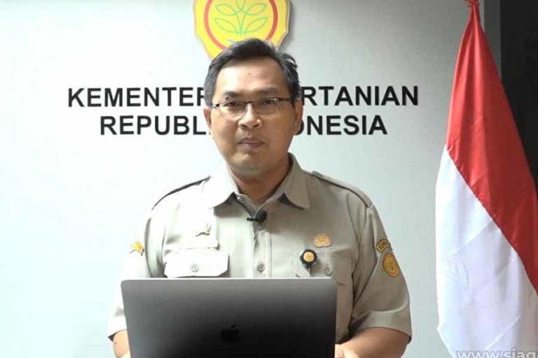 Kinerja Pertanian Sebagai Bantalan Ekonomi Nasional, Patut Diapresiasi?