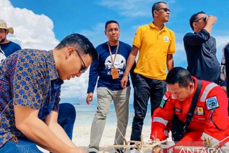 Peringati Coral Triangel Day, PLN dan BKKPN Tanam 300 Bibit Terumbu Karang di NTT